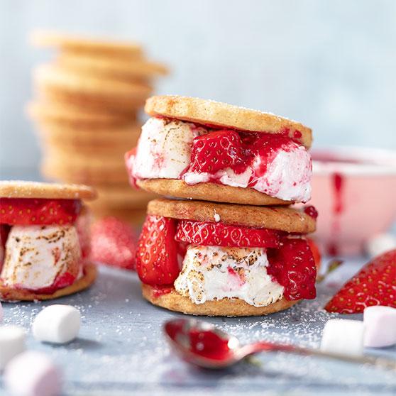 Strawberry S’mores with Fruit Puree